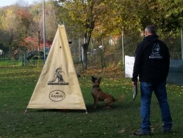 14721667_967758619996150_8527015702574192928_n